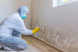 Why You Should Choose Our Mold Remediation Services in Waterflow, NM