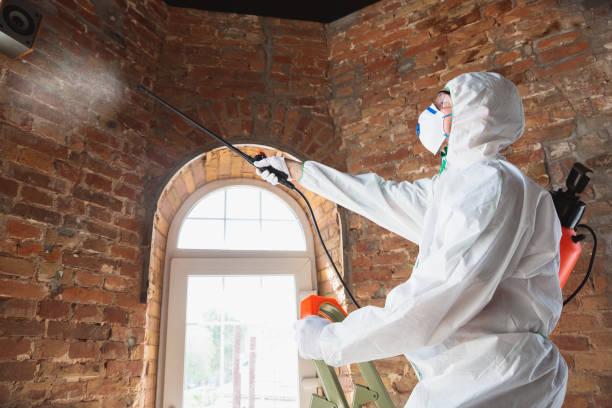 Best Mold Damage Restoration  in Waterflow, NM