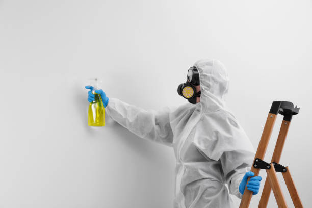 Best Mold Removal for HVAC Installations  in Waterflow, NM